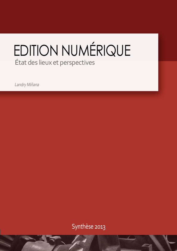 Edition numérique, état des lieux et perspectives - Synthèse 2013